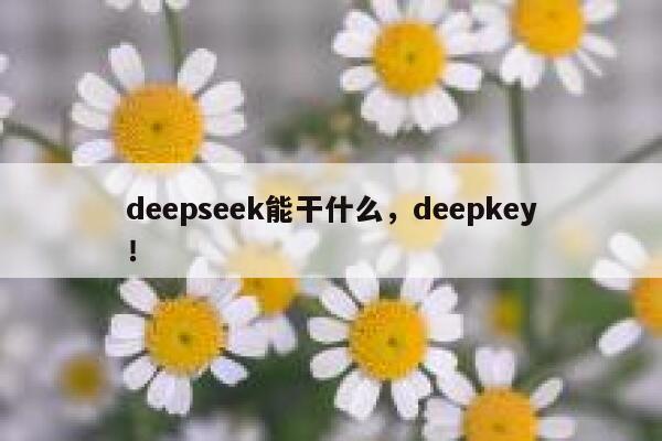 deepseek能干什么,deepkey! 第1张 deepseek能干什么,deepkey! 第1张