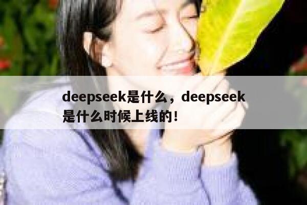 deepseek是什么,deepseek是什么时候上线的! 第1张 deepseek是什么,deepseek是什么时候上线的! 第1张
