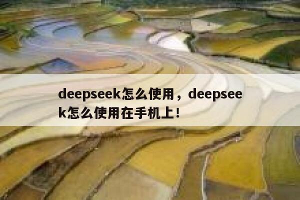 deepseek怎么使用,deepseek怎么使用在手机上! 第1张 deepseek怎么使用,deepseek怎么使用在手机上! 第1张