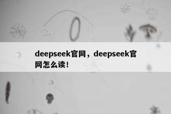 deepseek官网,deepseek官网怎么读! 第1张 deepseek官网,deepseek官网怎么读! 第1张