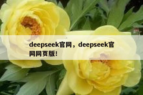 deepseek官网,deepseek官网网页版! 第1张 deepseek官网,deepseek官网网页版! 第1张